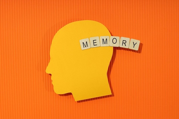 Conseil prévention : comment optimiser sa mémoire au quotidien ?