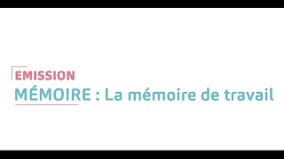 Mémoire : la mémoire de travail
