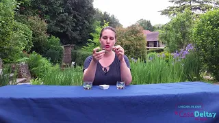 Activité aidant-aidé :Sentez, Goutez... et devinez !