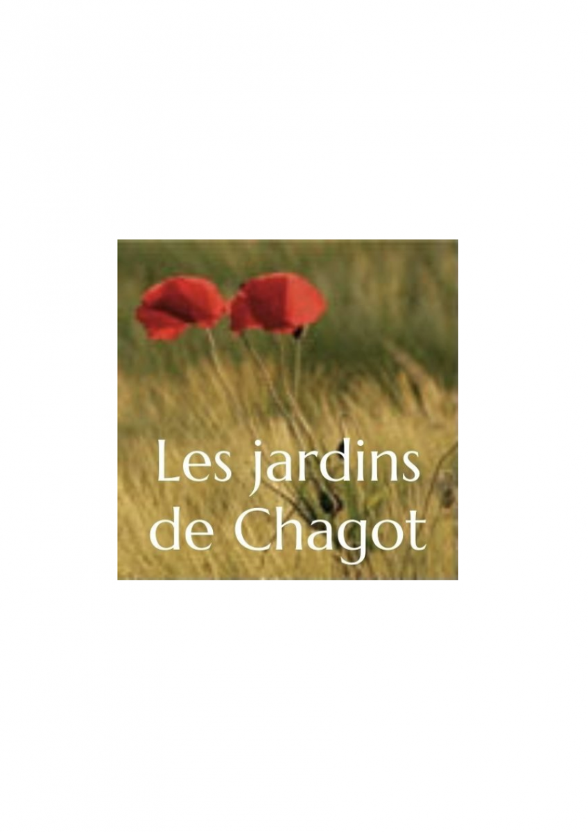 EHPAD les jardins de chagot : Spectacle "Dansez Bougez"